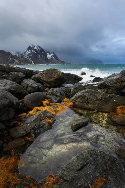 Vareid, Lofoten ostrovy — Stock fotografie