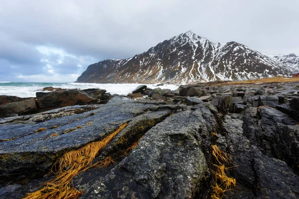 Vareid, Lofoten öarna — Stockfoto