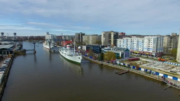 Kaliningrad günde ringa balığı — Stok video