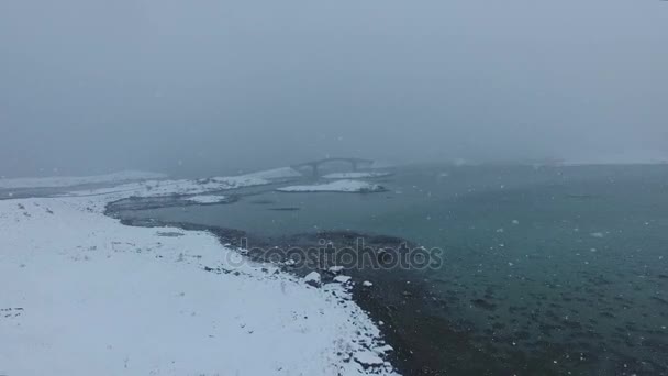 Snowy winter in Lofoten — Stock Video