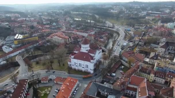 Theotokos, Vilnius Katedrali — Stok video