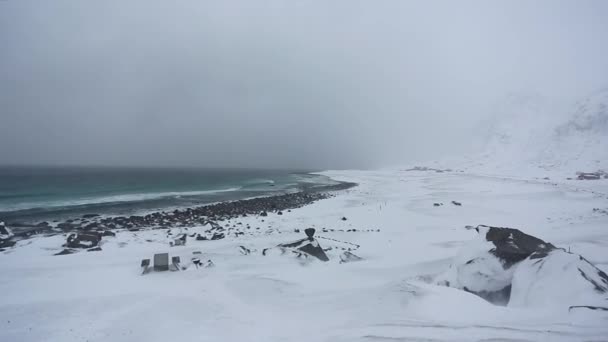 Blizzard a a beach Lofoten — Stock videók