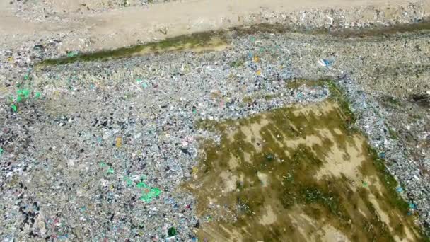 L'énorme décharge à la périphérie de la forêt 