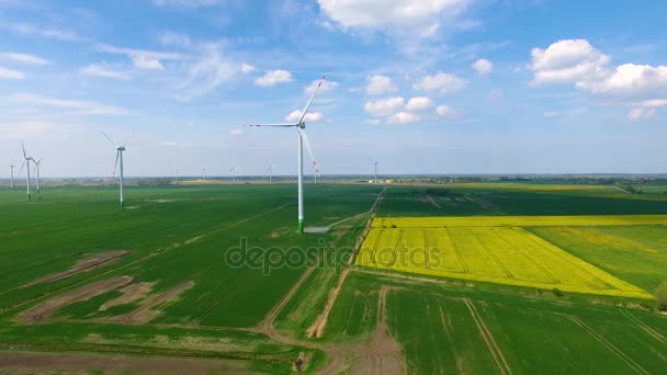 The wind farms on the meadow — Stock Video