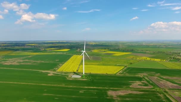 Větrné elektrárny na louce — Stock video