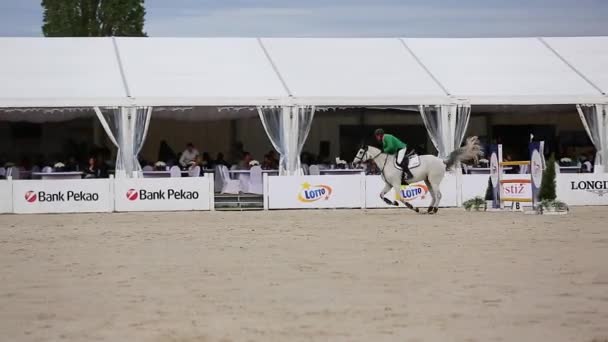 CSIO Sopot 2017 — стоковое видео