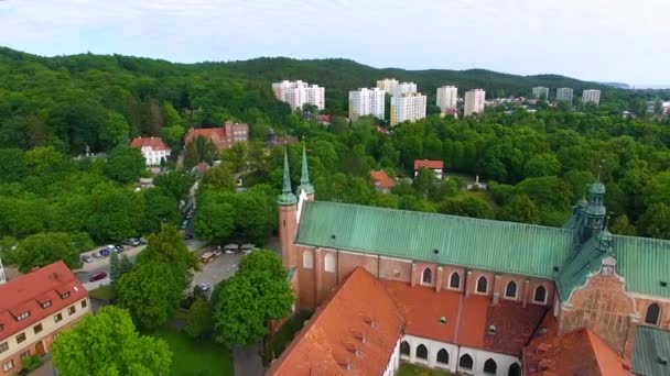 Catedral de Oliwa, vista superior — Vídeo de Stock