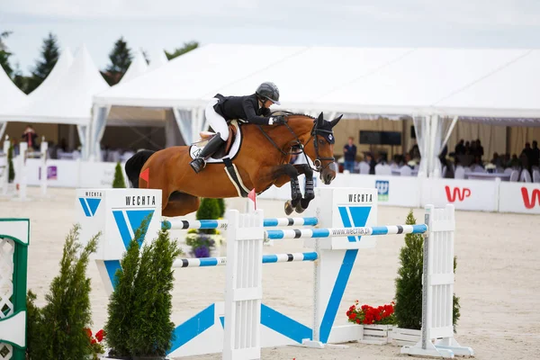 Competição CSIO Sopot 2017 — Fotografia de Stock