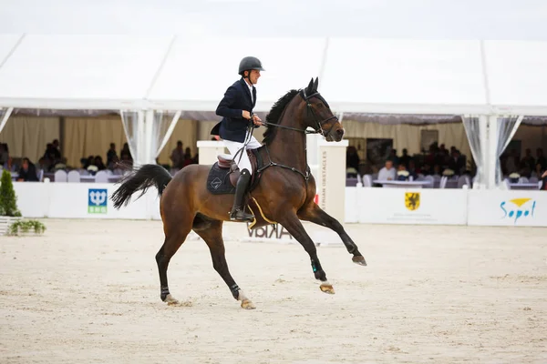 Competencia CSIO Sopot 2017 —  Fotos de Stock