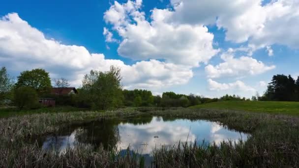 Ländliche Landschaft im Sommer — Stockvideo