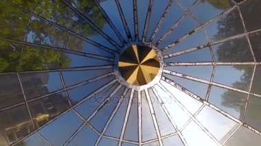 Çiçek pazarı Kaliningrad