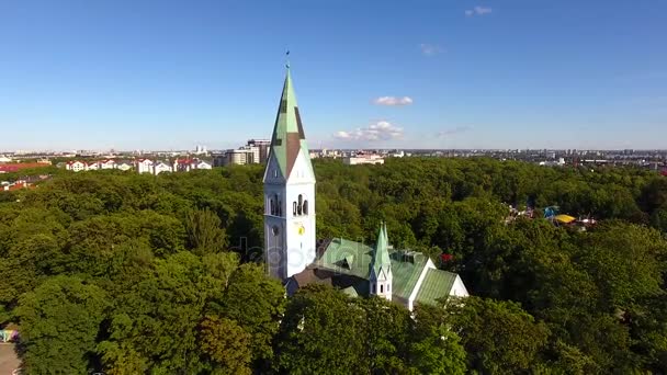 Luizy w Kaliningradzie — Wideo stockowe