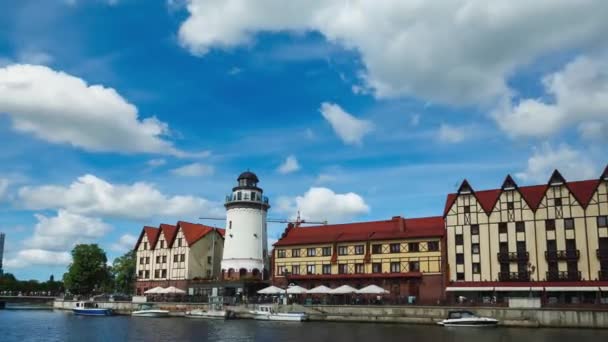 Holiday in Kaliningrad — Stock Video