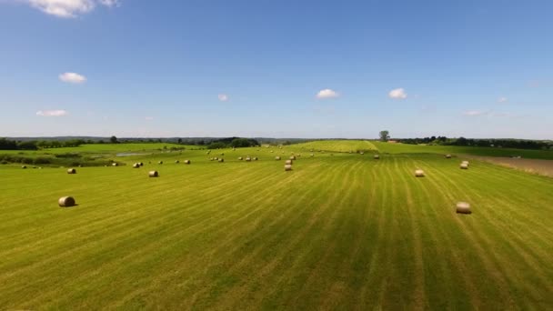 Feld mit Heuhaufen — Stockvideo