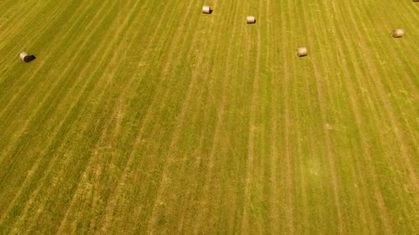 Поле с стогами сена — стоковое видео