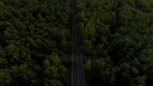 Motorvägen i Kuriska näset — Stockvideo