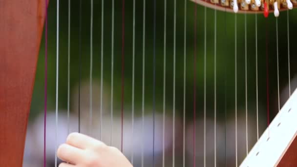 Mulher toca harpa — Vídeo de Stock