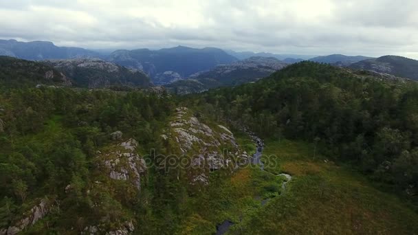 Flygfoto över skogen i bergen — Stockvideo