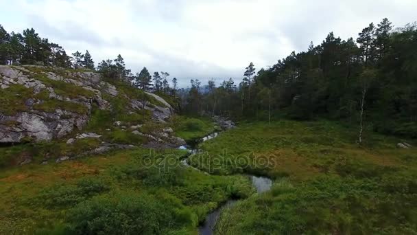 Aerial view of the forest in mountains — Stock Video