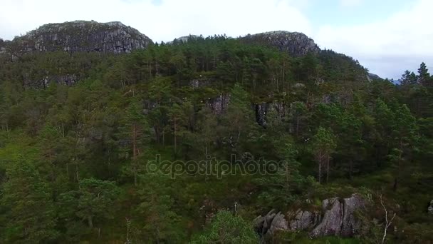 Widok z lotu ptaka w lesie w górach — Wideo stockowe