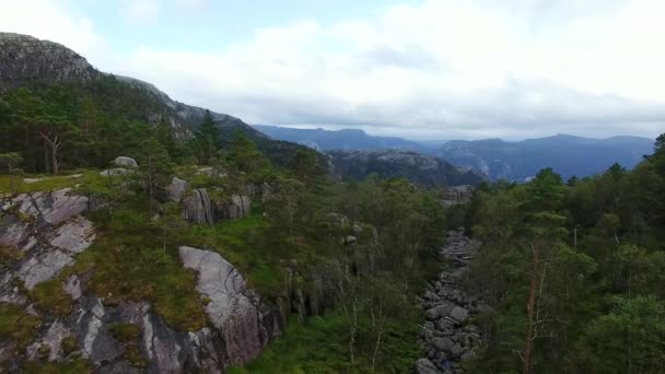 Dağlarda ormanın havadan görünümü — Stok video