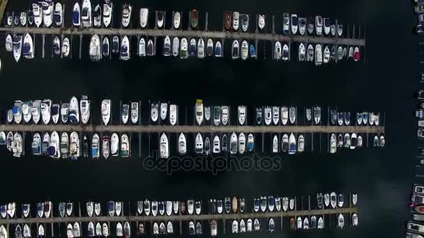 Boote in der Marina, Blick von oben — Stockvideo