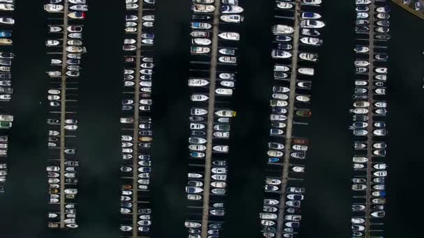 Barcos na marina, vista superior — Vídeo de Stock