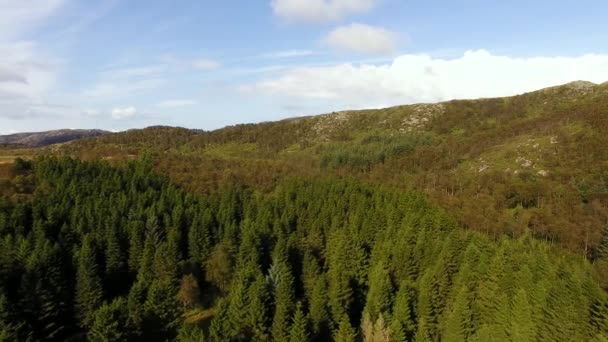 Skandinávských lesů, pohled shora — Stock video