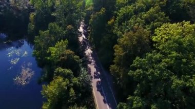 Bir ormanda yol görüntülemek yukarıdan