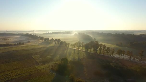 Campagna nebbiosa, vista dall'alto — Video Stock