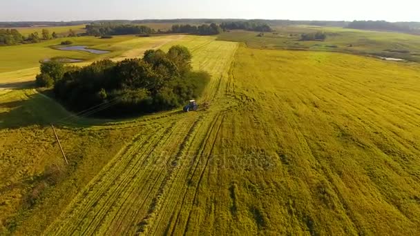 The autumn harvest — Stock Video