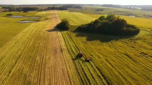 Восени урожай — стокове відео