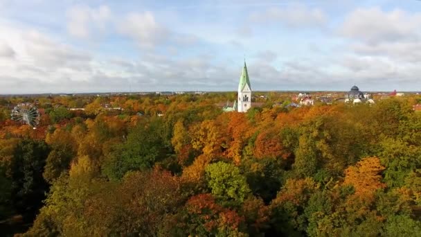 Luizy w Kaliningradzie jesienią — Wideo stockowe