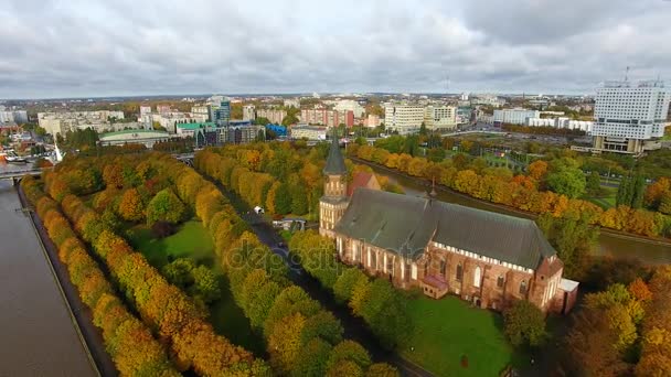 Kathedraal in Kaliningrad, herfst tijd — Stockvideo