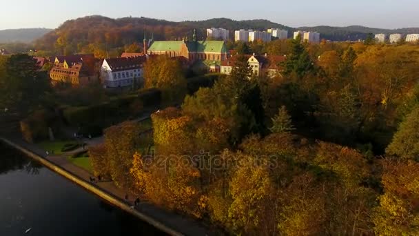 Park Oliwa in Sopot, bovenaanzicht — Stockvideo