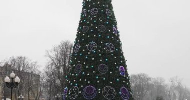 X-Mas ağaç Kaliningrad City, Rusya Federasyonu