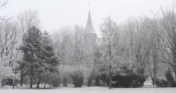 Katedrála Kaliningradu Hlubokém Sněhu — Stock video
