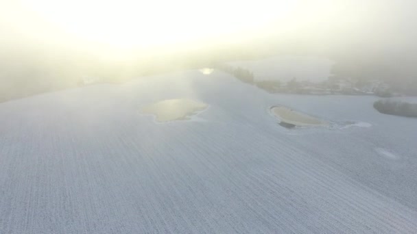 Aéreo Campos Cobertos Neve Inverno — Vídeo de Stock