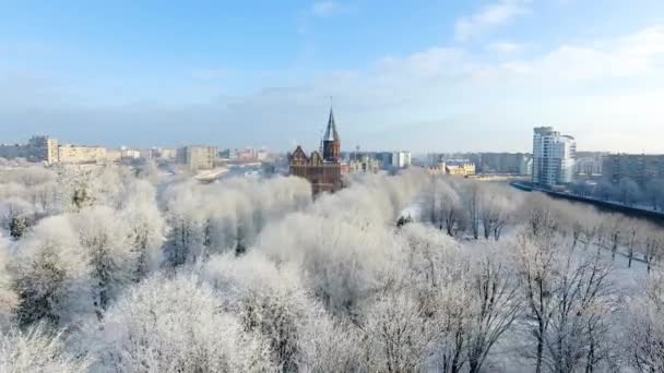 航空写真 カリーニング ラード ロシアの雪に覆われた街の大聖堂 — ストック動画