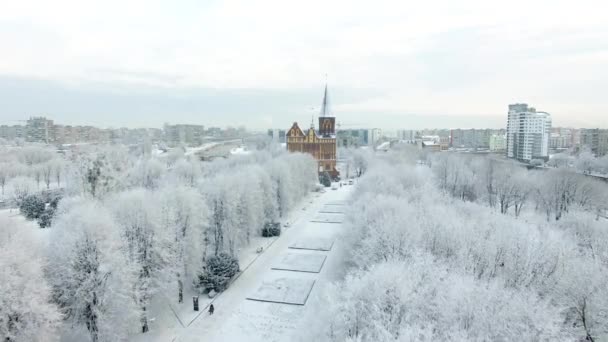 航空写真 カリーニング ラード ロシアの雪に覆われた街の大聖堂 — ストック動画