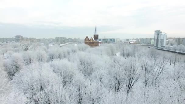 航空写真 カリーニング ラード ロシアの雪に覆われた街の大聖堂 — ストック動画