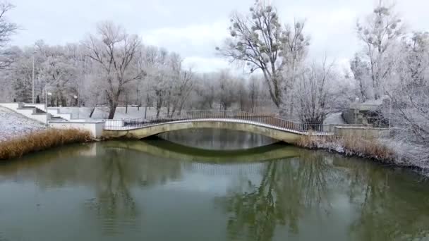 Aérea Parque Público Cubierto Nieve Kaliningrado Rusia — Vídeo de stock