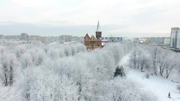 Antenn Katedralen Snötäckta Staden Kaliningrad Ryssland — Stockvideo
