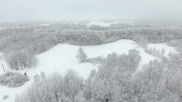 Aéreo Campo Coberto Neve Inverno — Vídeo de Stock