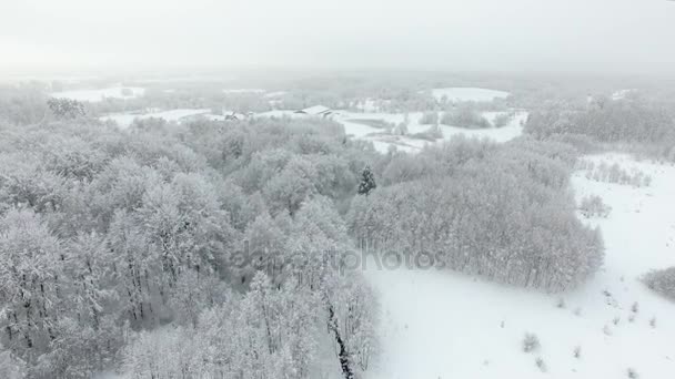 Antenne Schneebedeckte Landschaft Winter — Stockvideo