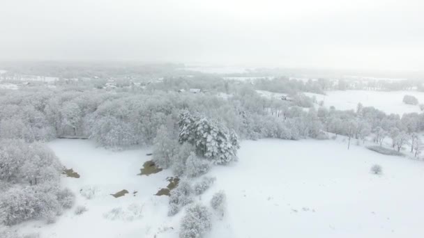 Antenne Schneebedeckte Landschaft Winter — Stockvideo