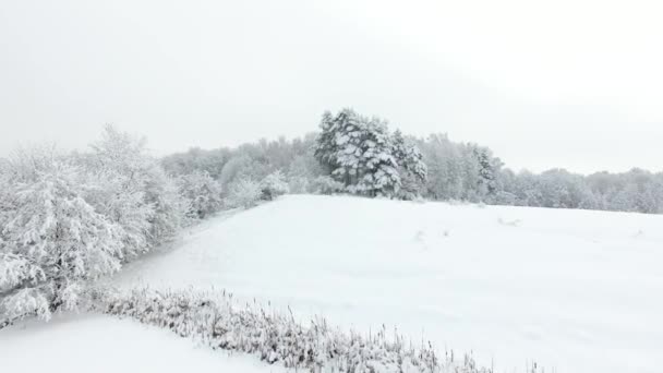 Aérea Campo Cubierto Nieve Invierno — Vídeos de Stock