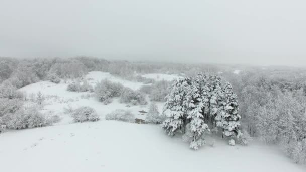 Aérien : Campagne enneigée en hiver 