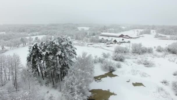 Antenn Snötäckta Landsbygden Vintertid — Stockvideo