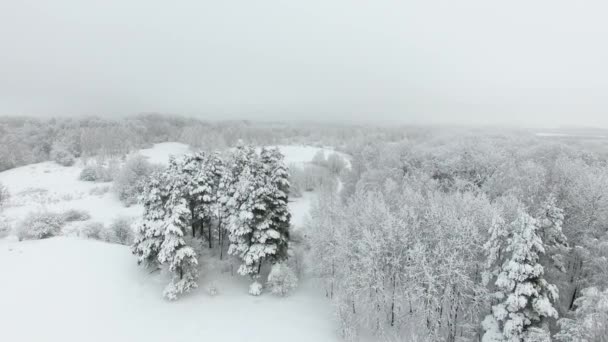 冬の雪に覆われた田園地帯 — ストック動画